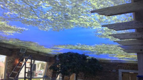 suspended ceiling framing system